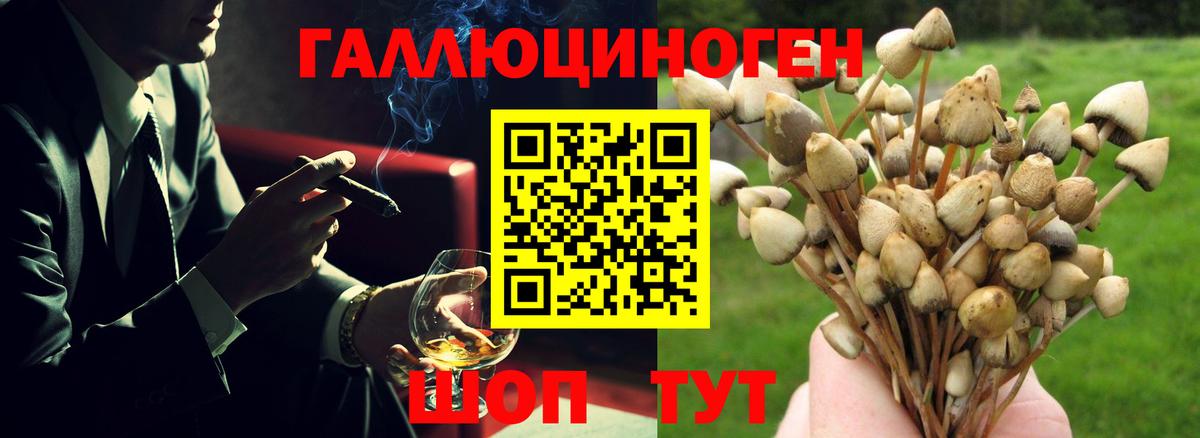 Мирный  Псилоцибиновые грибы мицелий  Вход с VPN  Псилоцибиновые грибы мицелий 